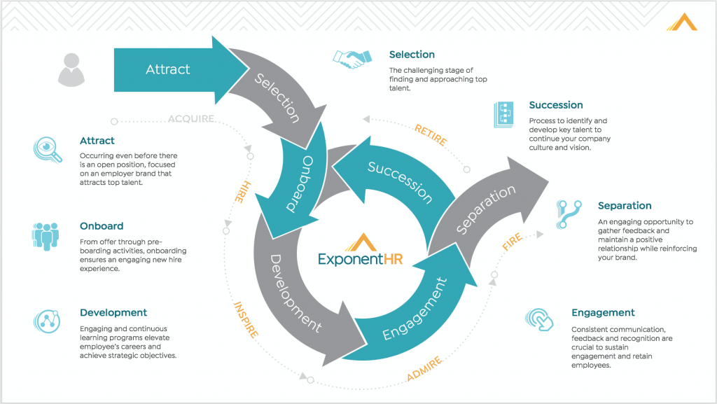 overview-of-the-employee-lifecycle-exponenthr-elevate